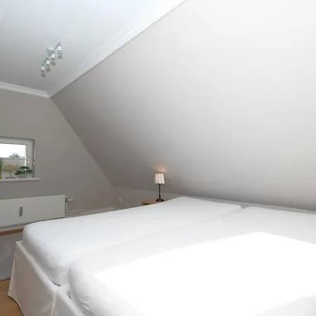Kiebitz-nordseebrise -